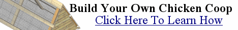 Build your own chicken coop. Build your own chicken coop.