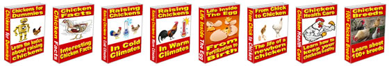 Build your own chicken coop in 3 days. Build your own chicken coop in 3 days.