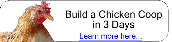 Build your own chicken coop in 3 days. Build your own chicken coop in 3 days.