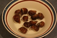 Cooked snails being cooled before shelling.
