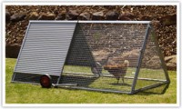 Royal Rooster chicken tractor
