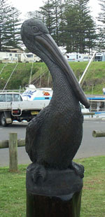 The famous Kiama pelican, killed by eating plastic bags.