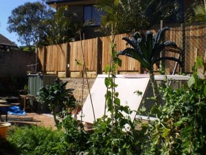 The rear fence and retaining wall, seen from the vegie patch.