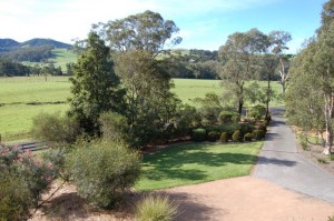 The front yard, seen from the deck.