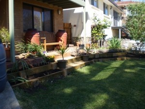 Landscaping from the house down to the front yard.