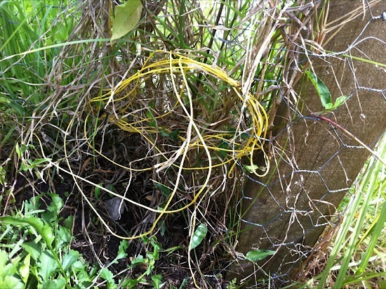 Dog Containment Fence Wire Loop