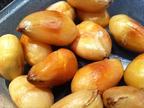 Cooked bunya nuts on tray